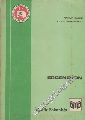 Ergenekon: Milli Mücadele Yazıları