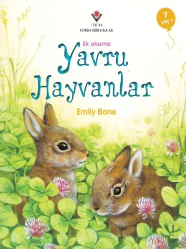 Yavru Hayvanlar