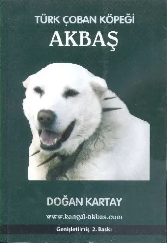 Türk Çoban Köpeği Akbaş