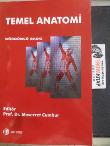 Temel Anatomi