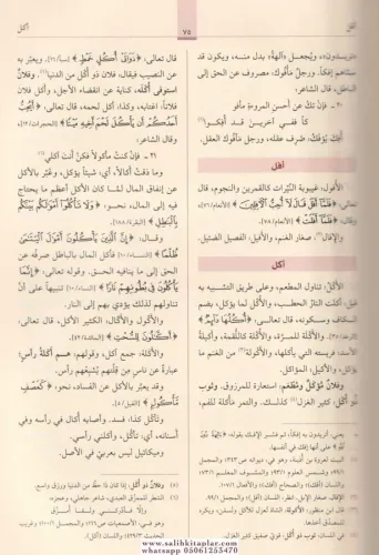 Müfredatü Elfazil Kuran مفردات ألفاظ القرآن Mufaddal Ragıb El Isfahani