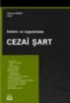 Cezai Şart, Doktrin Ve Uygulamada