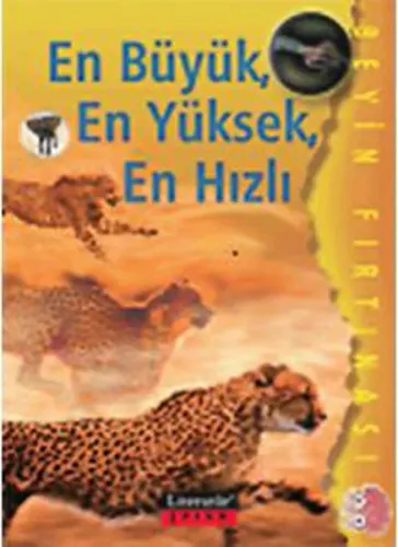 En Büyük, En Yüksek, En Hızlı; Beyin Fırtınası