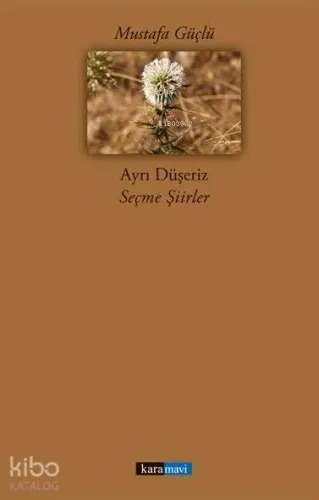 Ayrı Düşeriz; Seçme Şiirler