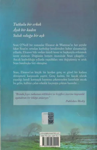 Kaçak Gelin Brenda Joyce Pegasus Yayıncılık %52 indirimli
