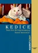Kedice