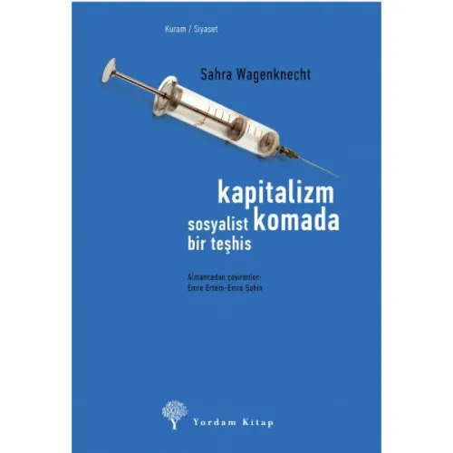 KAPİTALİZM KOMADA, Sosyalist Bir Teşhis