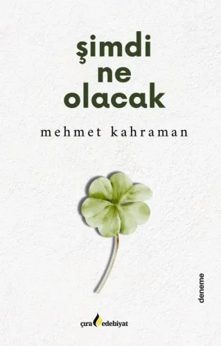 ŞİMDİ NE OLACAK