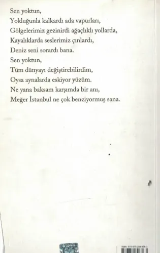 Sokağın Zulası Ahmet Ümit Everest Yayınları