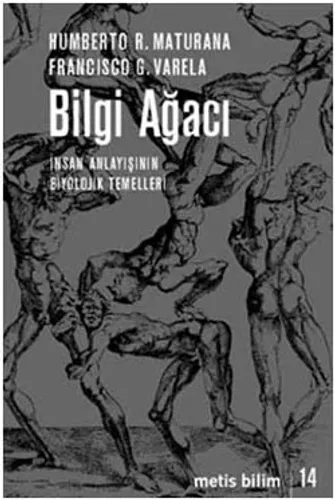 Bilgi Ağacı