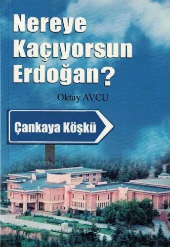 Nereye Kaçıyorsun Erdoğan?