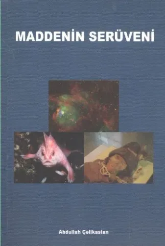 Maddenin Serüveni