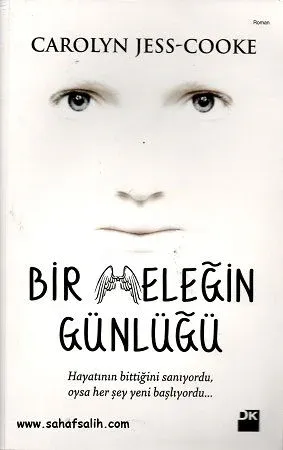 Bir Meleğin Günlüğü