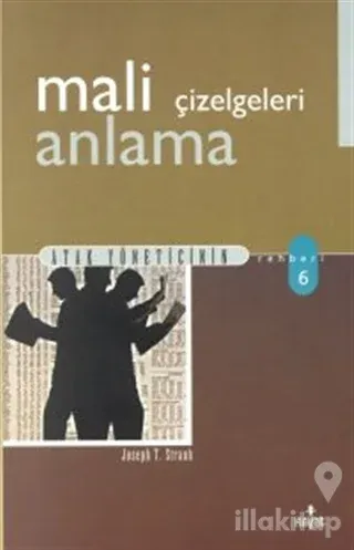 Mali Çizelgeleri Anlama