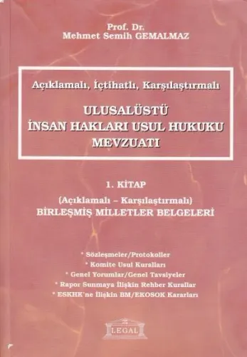 Ulusalüstü İnsan Hakları Usul Hukuku Mevzuatı  ( 1. Kitap )