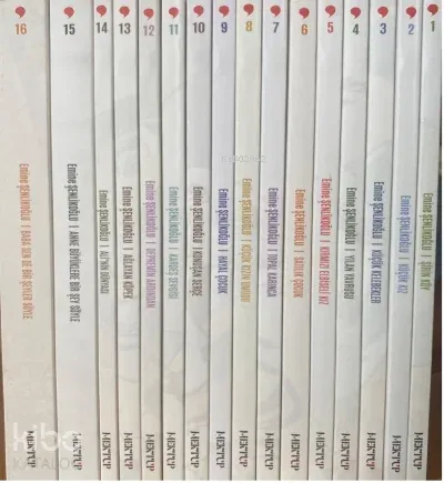 Nesillerin Öyküsü (16 Kitap)