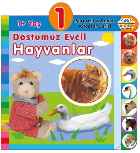1+ Yaş – Dostumuz Evcil Hayvanlar