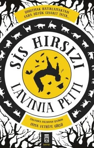 Sis Hırsızı