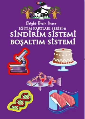 Eğitim Kartları Serisi 6 Sindirim Sistemi Boşaltım Sistemi