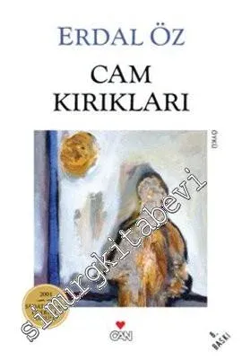 Cam Kırıkları -        2013