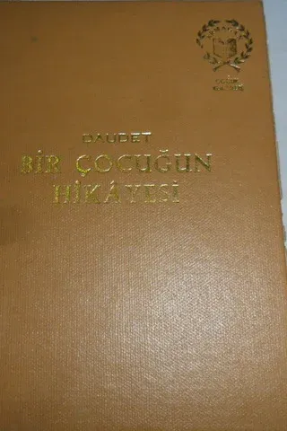 Bir Çoçuğun Hikayesi