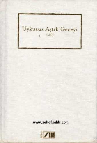 Uykusuz Aştık Geceyi