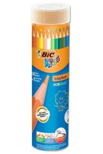 BİC EVOLUTION KURUBOYA METAL TÜP 24+1