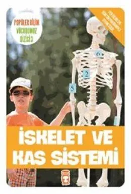 İskelet ve Kas Sistemi