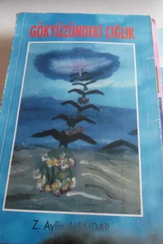 Gökyüzündeki Çığlık