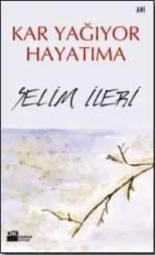 Kar Yağıyor Hayatıma
