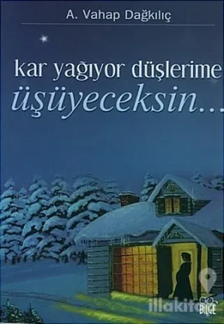 Kar Yağıyor Düşlerime