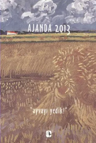 Metis Ajanda 2013