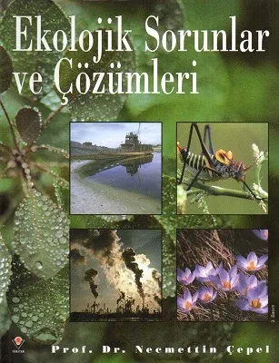 Ekolojik Sorunlar ve Çözümleri
