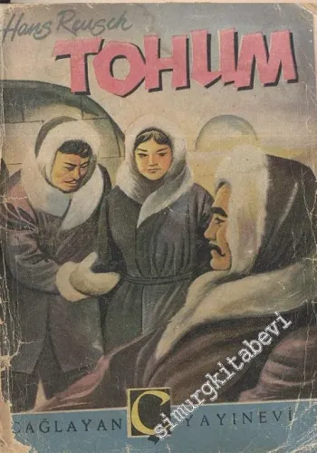 Tohum -
