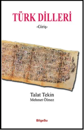 Türk Dilleri