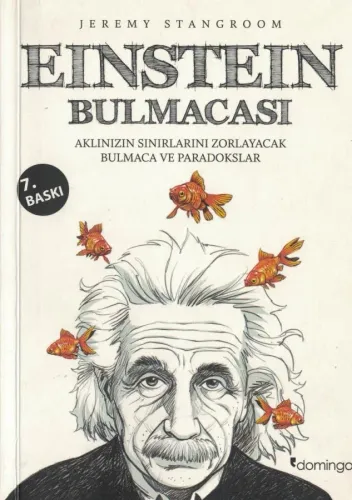Einstein Bulmacası Aklınızın Sınırlarını Zorlayacak Bulmaca ve Paradokslar