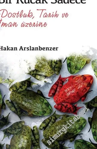 Bir Kucak Sadece: Dostluk, Tarih ve İman Üzerine -        2016