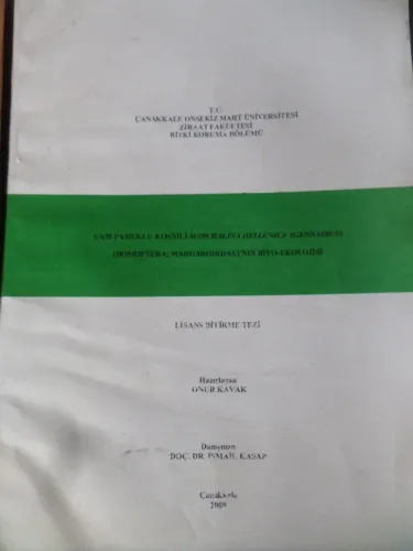 Cam Pamuklu Koşnili Marchalina Hellenica ( Gennadius ) Lisans Bitirme Tezi