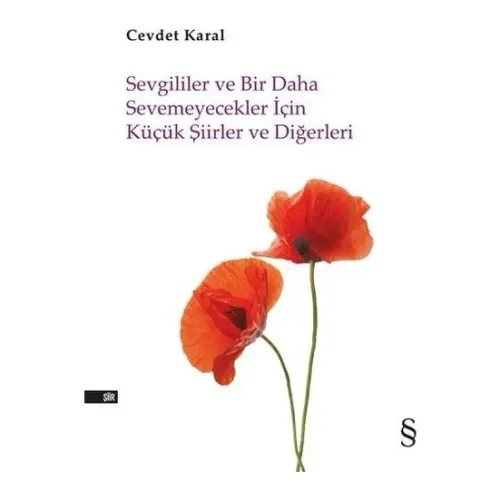 Sevgililer ve Bir Daha Sevemeyecekler İçin Küçük Şiirler ve Diğerleri