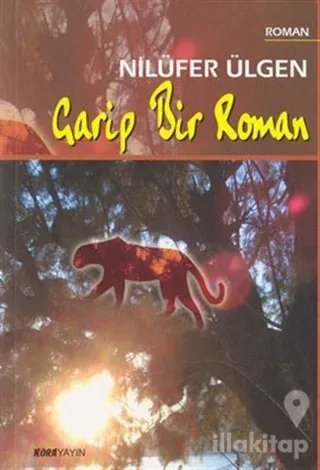 Garip Bir Roman