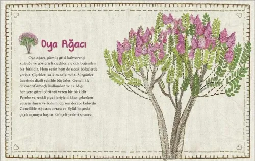 Doğa Parmaklarımın Ucunda (Yaş: 3+) Berrin Tercan Doğa Parmaklarımın Ucunda (Yaş: 3+) Berrin Tercan