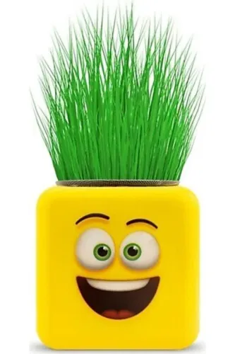 ÇİM-13 ERBAY ÇİMOJİ ÇİM ADAM