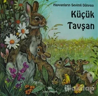 Küçük Tavşan