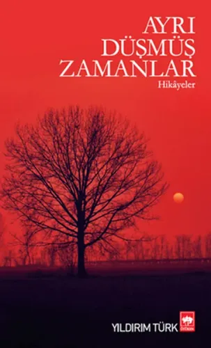 Ayrı Düşmüş Zamanlar
