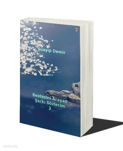 Bestesini Arayan Şarkı Sözlerim 2
