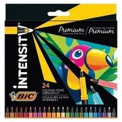 BİC INTENSITY FP FINE PACK 24 Lü
