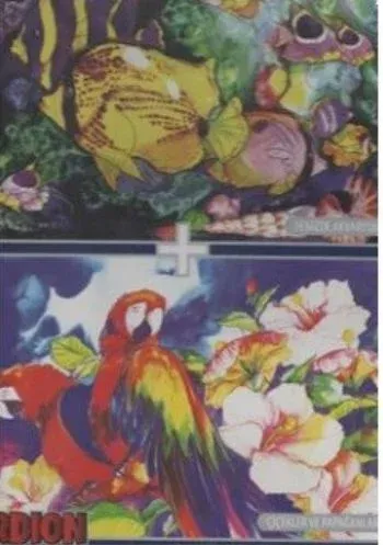 Papağanlar Çiçekler-Denizde Akvaryum 1000 X 2 Puzzle