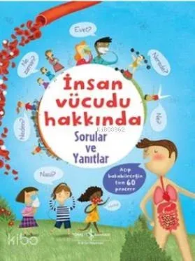 İnsan Vücudu Hakkında Sorular ve Yanıtlar