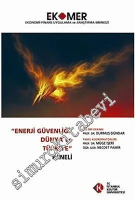 Enerji Güvenliği: Dünya ve Türkiye Paneli 2010 -         2010