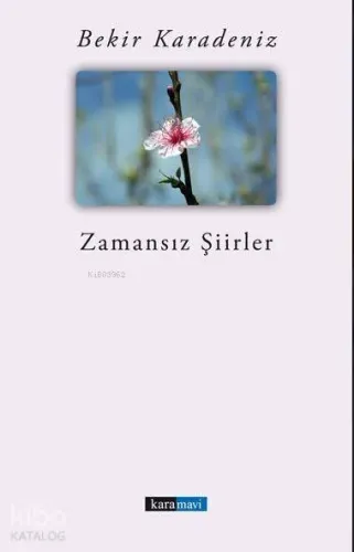 Zamansız Şiirler